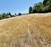 A sunlit field and nature in Dolný Štál ideal for plots - living.