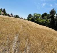 Plots - housing in Dolný Štál with grassy vegetation and nearby houses.