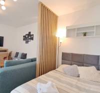 Studio apartment with a sofa set, bed, and television, separated by a wooden partition.