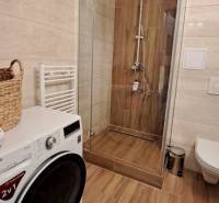 A bathroom in a studio apartment with a modern shower, washing machine, and toilet.