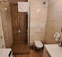 A bathroom in a studio apartment with a walk-in shower and modern amenities.