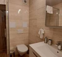 A bathroom in a studio apartment with a toilet, shower, and sink with a mirror.