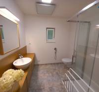Family house bathroom with a sink, shower, and toilet, decorative flowers on the countertop.