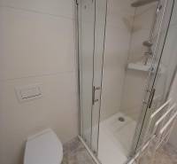 Bathroom with toilet and shower in a family house.