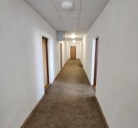 A narrow hallway in a building with white walls and a brown carpet.