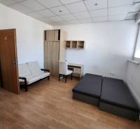 Interior of a building with furniture: sofa, bed, wardrobe, and desk.