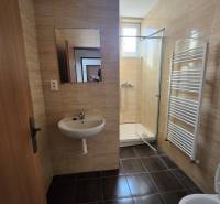 Bathroom in a building with ceramic tiles, a sink, a shower corner, and a ladder radiator.