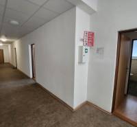 A corridor with multiple doors, light walls, and a floor. Part of a building.