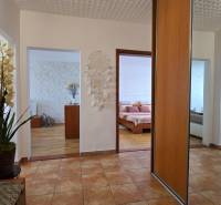 A hallway in a 2-room apartment with flowers and a view of the bedroom.