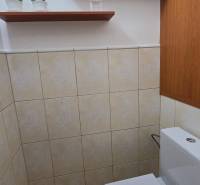 A toilet in a 2-room apartment with shelves and plants.