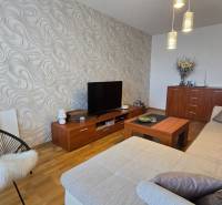 Living room in a 2-room apartment with a bold wall pattern, sofa, and wooden furniture.