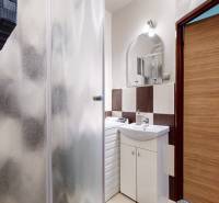 A bathroom in a 2-room apartment with a sink, shower, and washing machine.