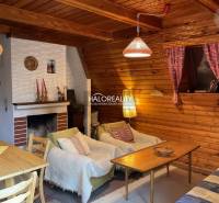 Wooden interior of a cabin with a sofa, fireplace, and dining table.