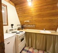 A kitchenette in a cabin with wooden paneling and simple furnishings.