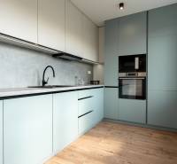 Modern kitchen with pastel cabinets in a 2-room apartment, wooden floor, large window.