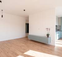 A bright interior with wooden flooring, a kitchen unit, and a wall cabinet in a 2-room apartment.