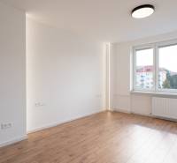 Bright room with wooden flooring in a 2-room apartment.