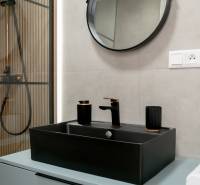 Bathroom in a 2-room apartment with a black sink, mirror, and shower enclosure.