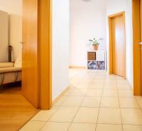 The hallway of a 3-room apartment with white walls, a plant, books, and light-colored doors.