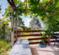 The garden of the cottage in Stupava with a pergola and plants, table and chairs on the terrace.