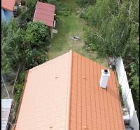 The garden by the cottage in Stupava is an orchard, surrounded by trees and green lawn.
