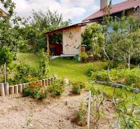 A garden near the cottage in Stupava, surrounded by flowers and fruit trees.