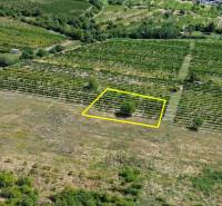 Aerial view of vineyards in Bratislava-Rača designated for residential land.
