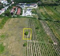 Aerial view of vineyards and properties - living in Bratislava - Rača.