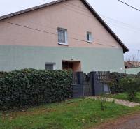 A family house in Levice with a fence covered in ivy, an entrance gate, and a grassy plot.