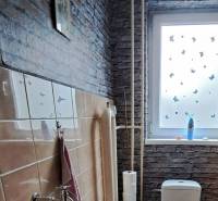 A toilet with a sink and decoration in a family house with brick cladding.