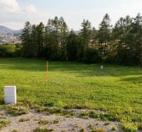 Greenery and trees in Kľače, ideal for plots - living, with a natural background.