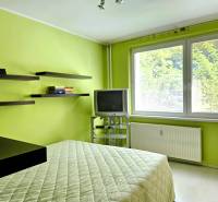 A room painted green in a 2-room apartment with a bed, television, and shelves.