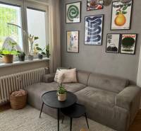 Living room with a gray sofa, wall decorations, and houseplants.