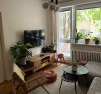 Living room with a sofa, TV, and houseplants in a 4-room apartment.