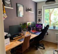 A workspace with computers and a plant by the window in a 4-room apartment.