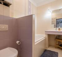 Bathroom with shower and toilet in a 2-room apartment. Beige and purple tiles.