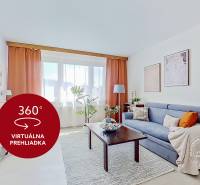 A bright living room with a sofa and a television in a studio apartment.