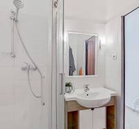 Bathroom with a shower in a studio apartment, equipped with a sink and a mirror.