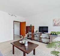 Living room with wooden furniture, a television, and houseplants in a studio apartment.