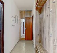 Hallway in a one-room apartment with a coat rack and entrance to the living room.