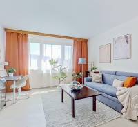 A bright living space with a sofa and a table in a studio apartment, decorated with plants.