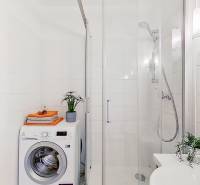 Bathroom with a washing machine, shower, and plant in a studio apartment.