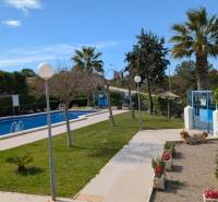 A pool with palm trees and greenery in the area of Aquiles Street, Torrevieja.