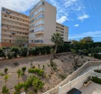 Building with apartments, a swimming pool, and greenery in Torrevieja on cl. Aquiles street.