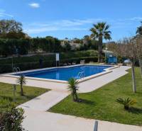 A pool surrounded by greenery and palm trees on Aquiles Street in Torrevieja.