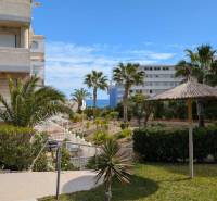 Studio apartment in Torrevieja on Aquiles Street with a view of palm trees by the sea.
