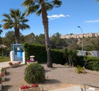 A park with palm trees and greenery in Torrevieja on cl. Aquiles street, studio apartment.