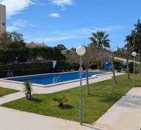 A pool with palm trees and greenery on Aquiles Street in Torrevieja, suitable for studio apartment residents.