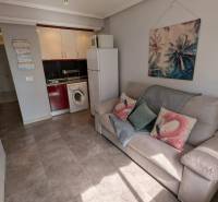 Studio apartment with a sofa, kitchenette, washing machine, and a decorative painting.