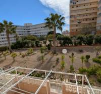 View from a studio apartment on Calle Aquiles in Torrevieja with palm trees and buildings.